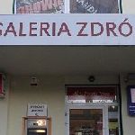 Prezentacja  w Galerii Sztuki - 14.04.2016